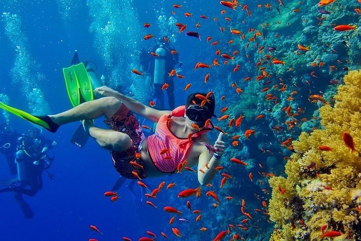 Zanzibar Snorkeling