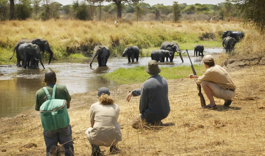 Arusha National Park Walking Tour